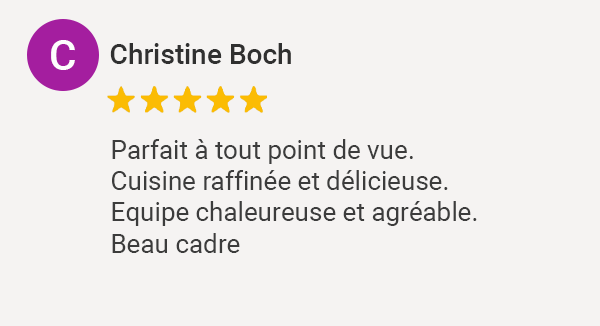 Avis Google