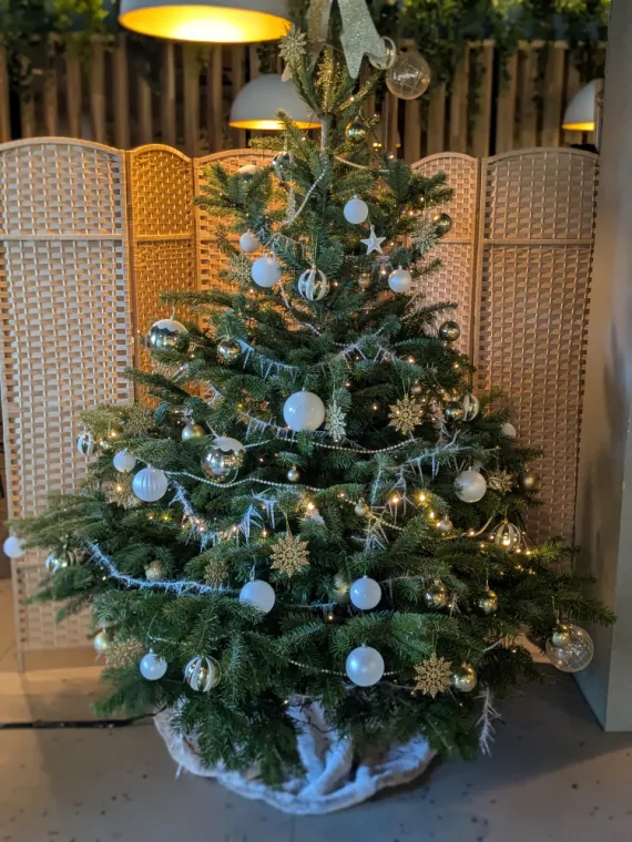 Le sapin est arrivé au Double 7 🎄🎄🎄, Dardilly, Double 7 Dardilly